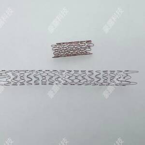 Superelasticity of Nitinol stent under simulated body motion